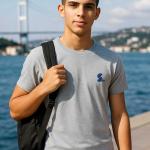 Sakıp Sabancı Anadolu Lisesi Minimal Tasarım Gri Melanj Tişört